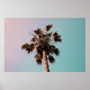 Póster Low-angle photography of palm plant