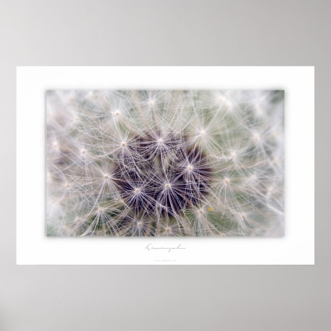 Póster Löwenzahn (Frente)