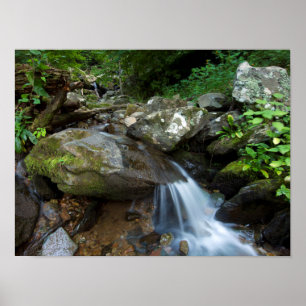 Póster Lower Dark Hollow Falls, Shenandoah
