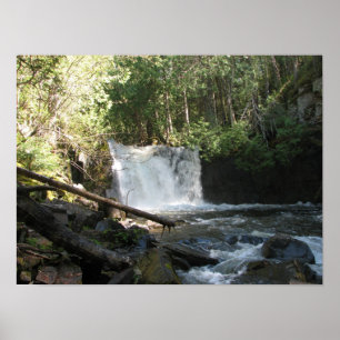 Póster Lower Johnson Falls