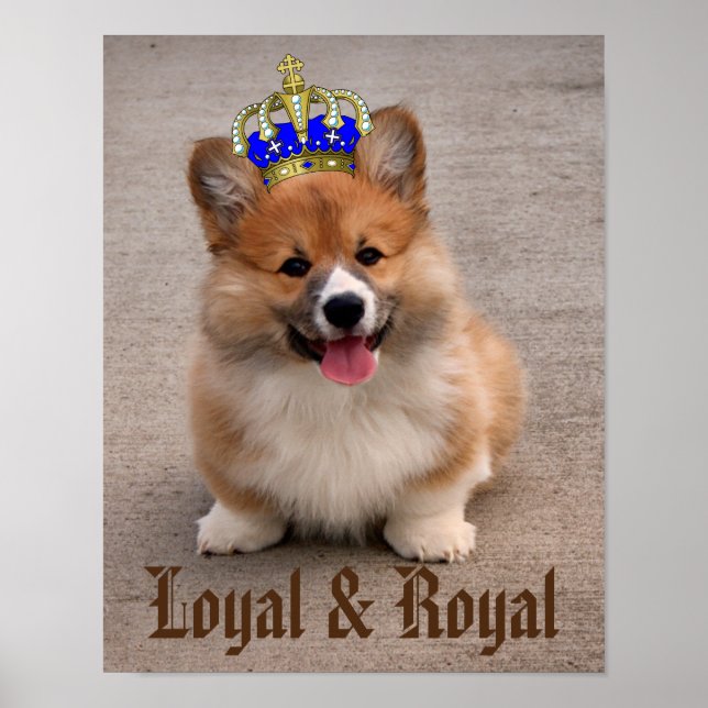 Póster Loyal y Royal Corgi Puppy (Frente)