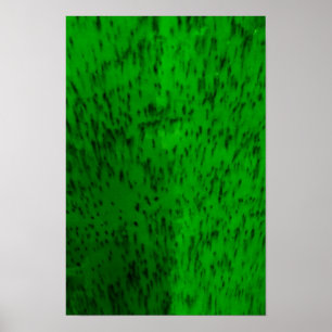 Póster Loza verde lima