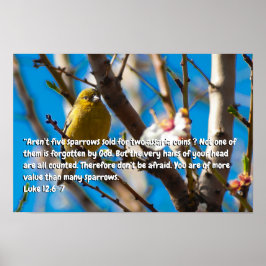 Póster Lucas 12:6-7