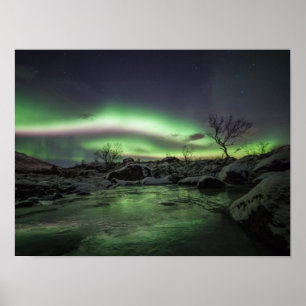 Póster Luces boreales
