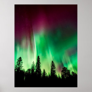Póster Luces boreales de Aurora