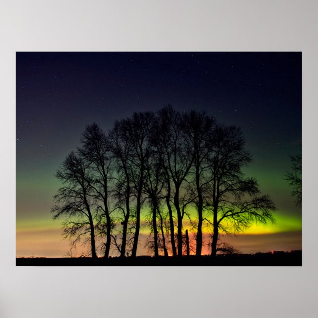 Póster Luces boreales | Manitoba Canada Grande Pointe (Frente)