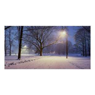 Póster Luces de calle cubiertas de árboles de nieve