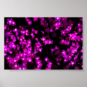 Póster Luces de flor rosa brillante