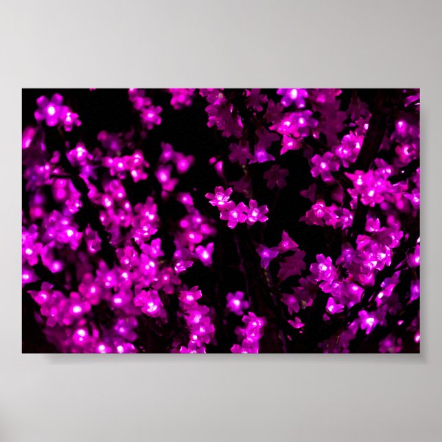 Póster Luces de flor rosa brillante (Frente)