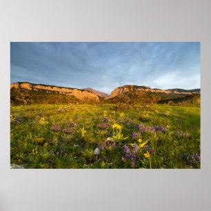 Póster Luces del amanecer Blackleaf Canyon