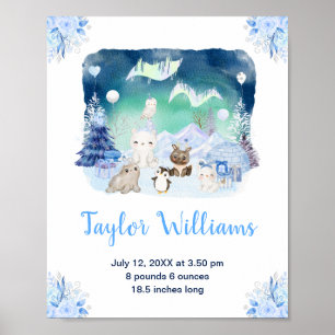 Póster Luces del Norte Animales del Ártico Estadísticas d