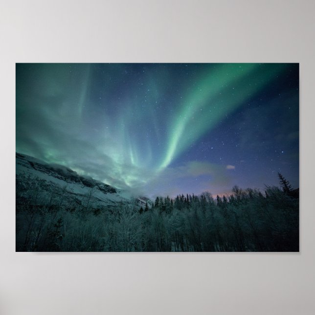 Póster Luces del Norte de Noruega (Frente)