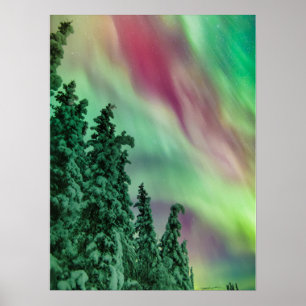 Póster Luces del Norte Invierno en Glennallen, Alaska