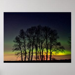 Póster Luces del Norte Manitoba Canadá Grande Pointe