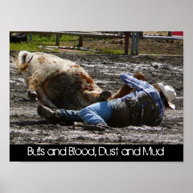 Póster Lucha contra el Rodeo de Cowboy y el Bull Mud (Frente)