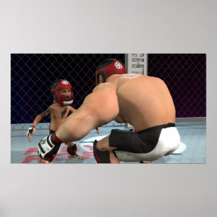Póster Lucha contra la MMA - Pequeño Poster