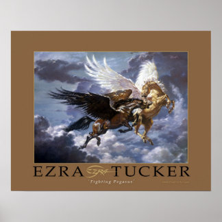 Póster Lucha contra Pegasus