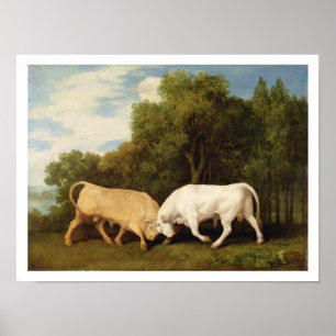 Póster Lucha de toros, 1786 (aceite en el panel)