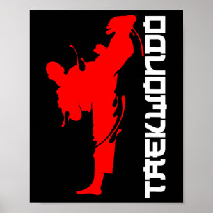Póster Luchador de Taekwondo Patadas de Cabeza Gratuitas