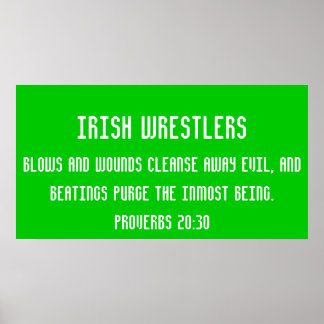 Póster Luchadores de Irlanda