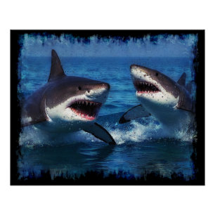 Póster Luchando contra los tiburones