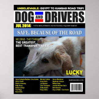 Póster Lucky - Dog and Driver