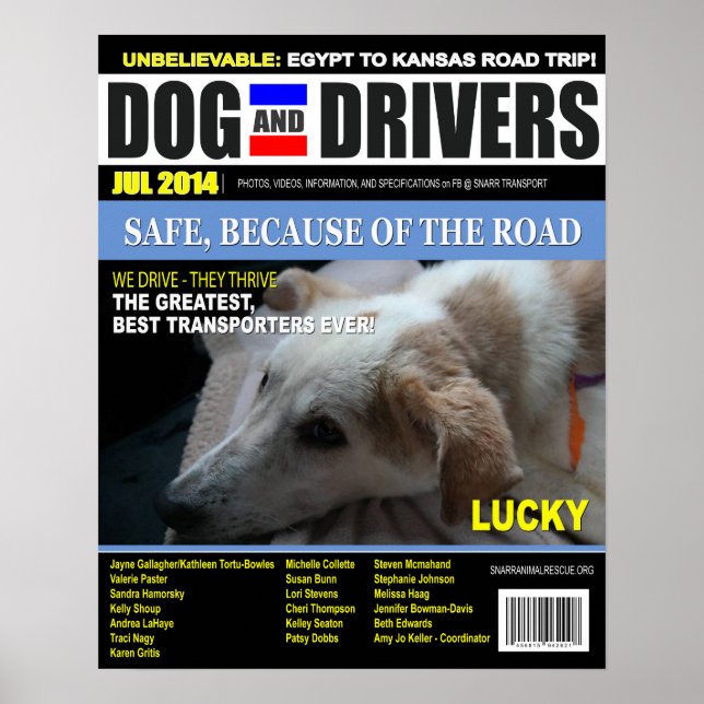 Póster Lucky - Dog and Driver (Frente)