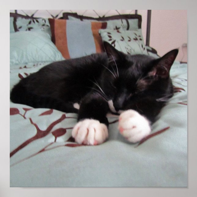 Póster Lucy durmiente (Frente)