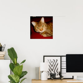 Póster Lucy Kitty Poster