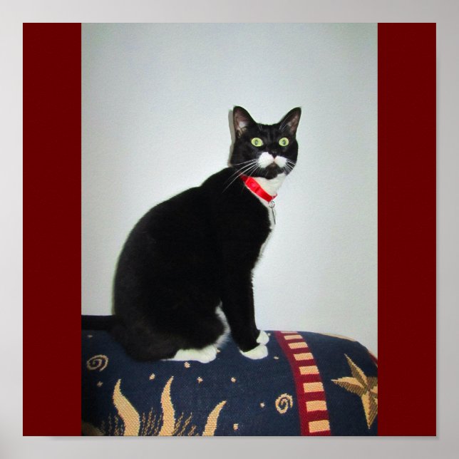 Póster Lucy seria (Frente)