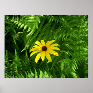 Póster Lugar tranquilo