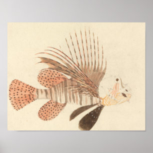 Póster Luigi Balugani - Lionfish