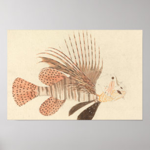 Póster Luigi Balugani - Lionfish