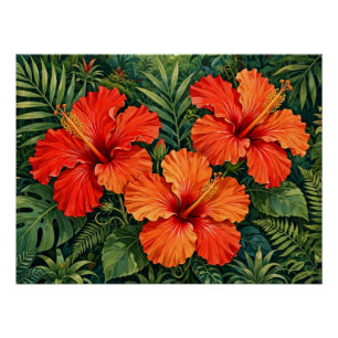 Póster Lujosas flores tropicales de hibisco naranja selva