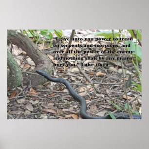 Póster Luke 10:19 Poster de guiones