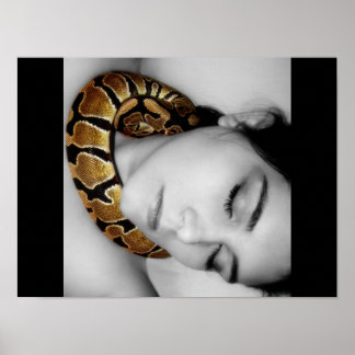 Póster Lullabia de Python