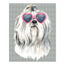 Lulu la Lhasa