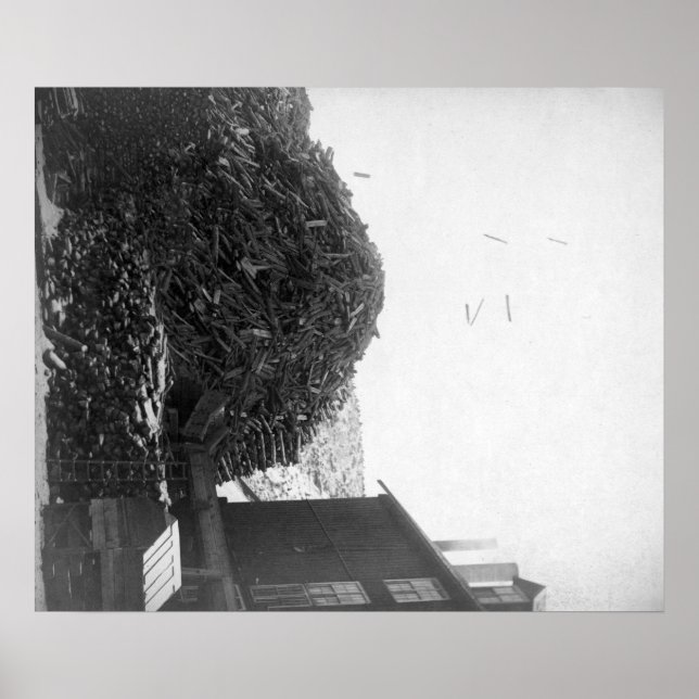 Póster Lumber Pile outside the De Smet Mill  Photograph (Frente)