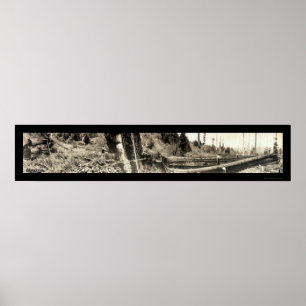 Póster Lumberjack Redwoods Foto 1915