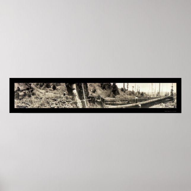 Póster Lumberjack Redwoods Foto 1915 (Frente)