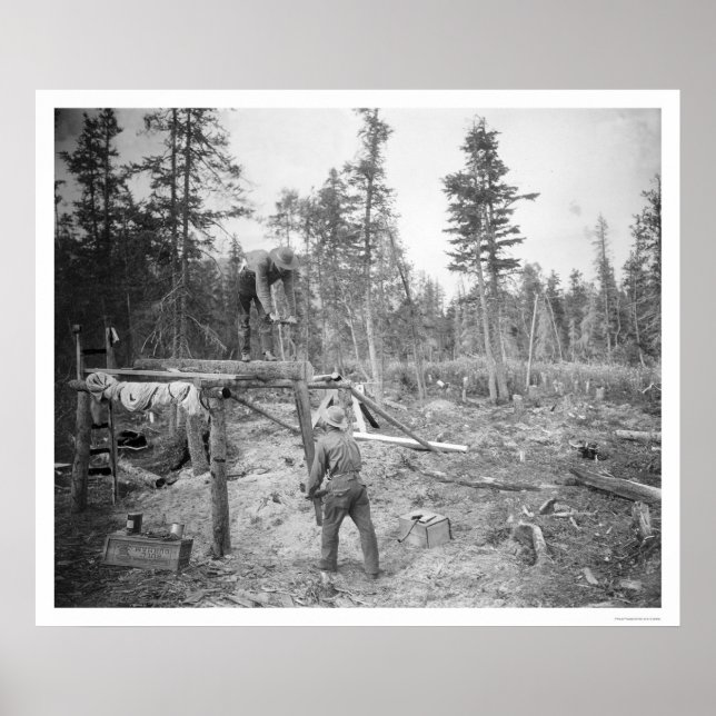 Póster Lumberjacks de Alaska 1916 (Frente)