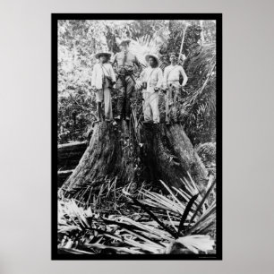 Póster Lumberjacks in Mindoro Region, Philippines 1906