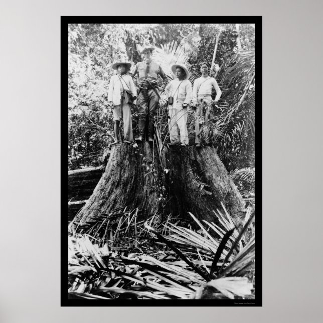 Póster Lumberjacks in Mindoro Region, Philippines 1906 (Frente)