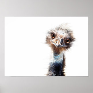 Póster Luminous Emu Art