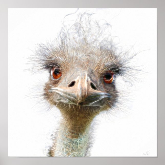 Póster Luminous Emu art chicken art Poster (Frente)