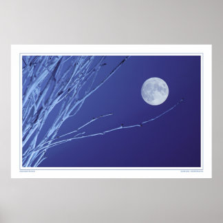 Póster Luna