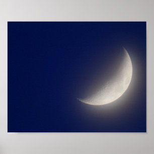 Póster Luna creciente de vaina