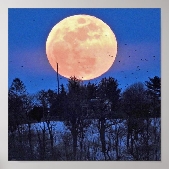 Póster Luna de Nieve 2017 (Frente)