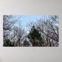 Luna de Noche Temprana