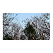 Luna de Noche Temprana